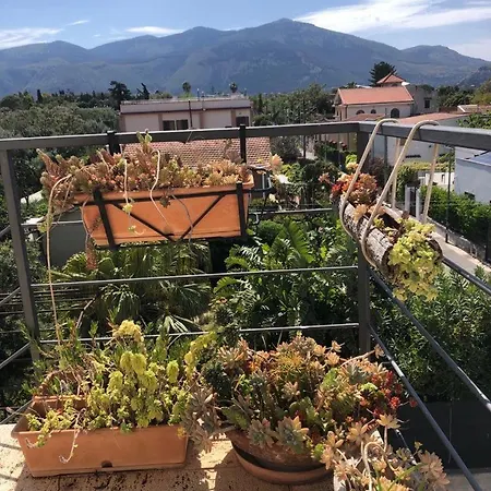 La Casa Del Polpo 호텔 *
